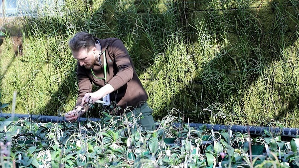 假日在岗人②辰山植物园首位国际志愿者不简单 绝对专业范