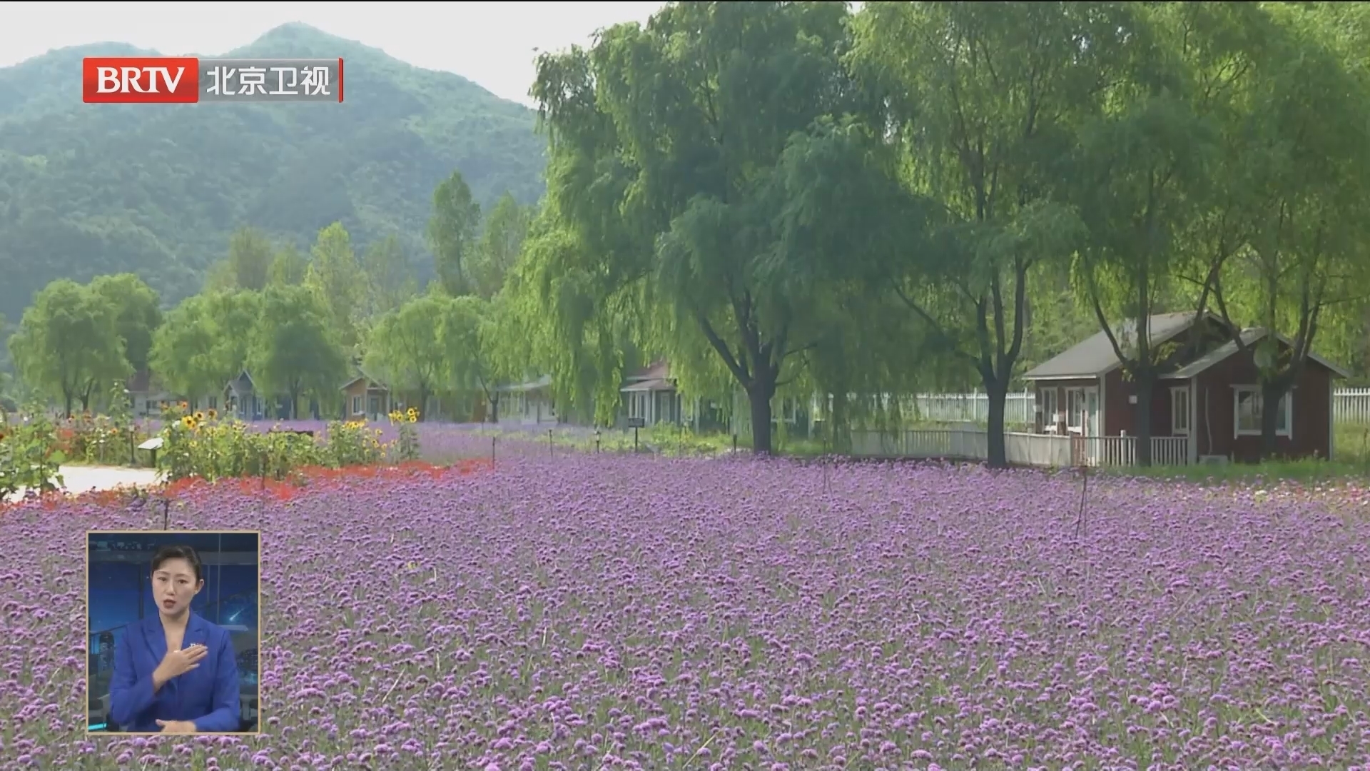 密云区推出7条夏日山水主题旅游线路