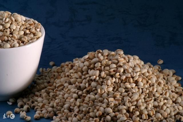 男性湿气重喝什么茶好