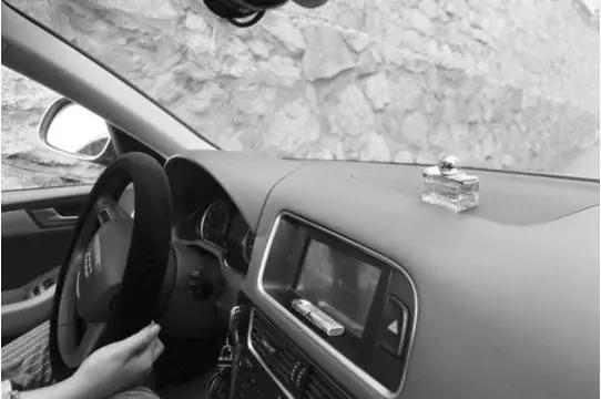 夏天把车停到树下防晒,大伯看后痛骂:十几万的