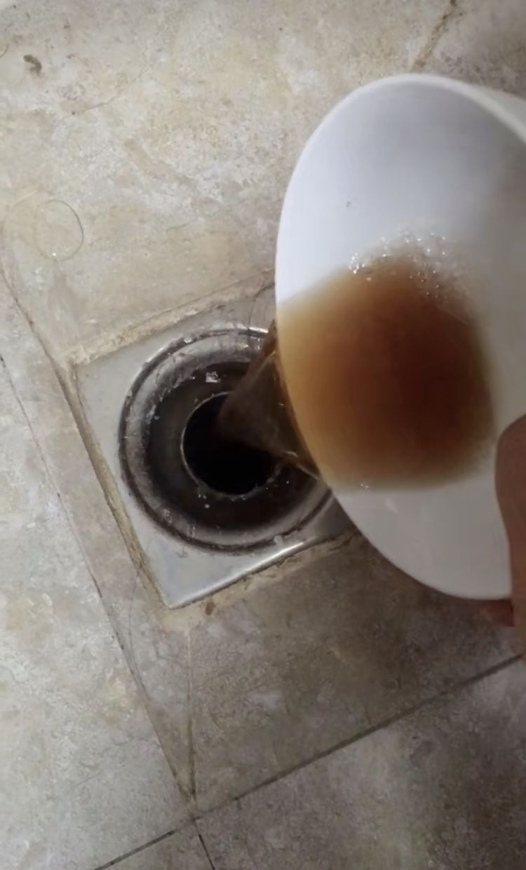 学会这招再不怕下水道虫子 秘制杀虫药剂 倒入