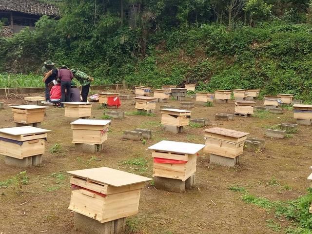 全国农村粮食补贴再出新变化!看看今年你能拿