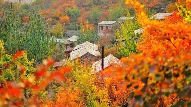 收获时节 中国各地秋韵如画 收获时节 中国各地秋韵如画