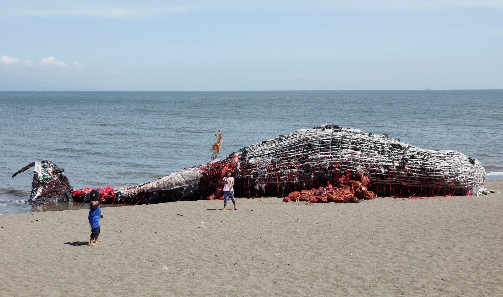 30吨重鲸鱼尸体冲上美国加州海难 游客不顾恶臭围观-新闻中心-南海网