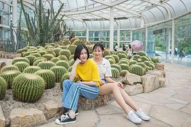 2018白羊和射手女孩厦门四日旅游攻略分享向