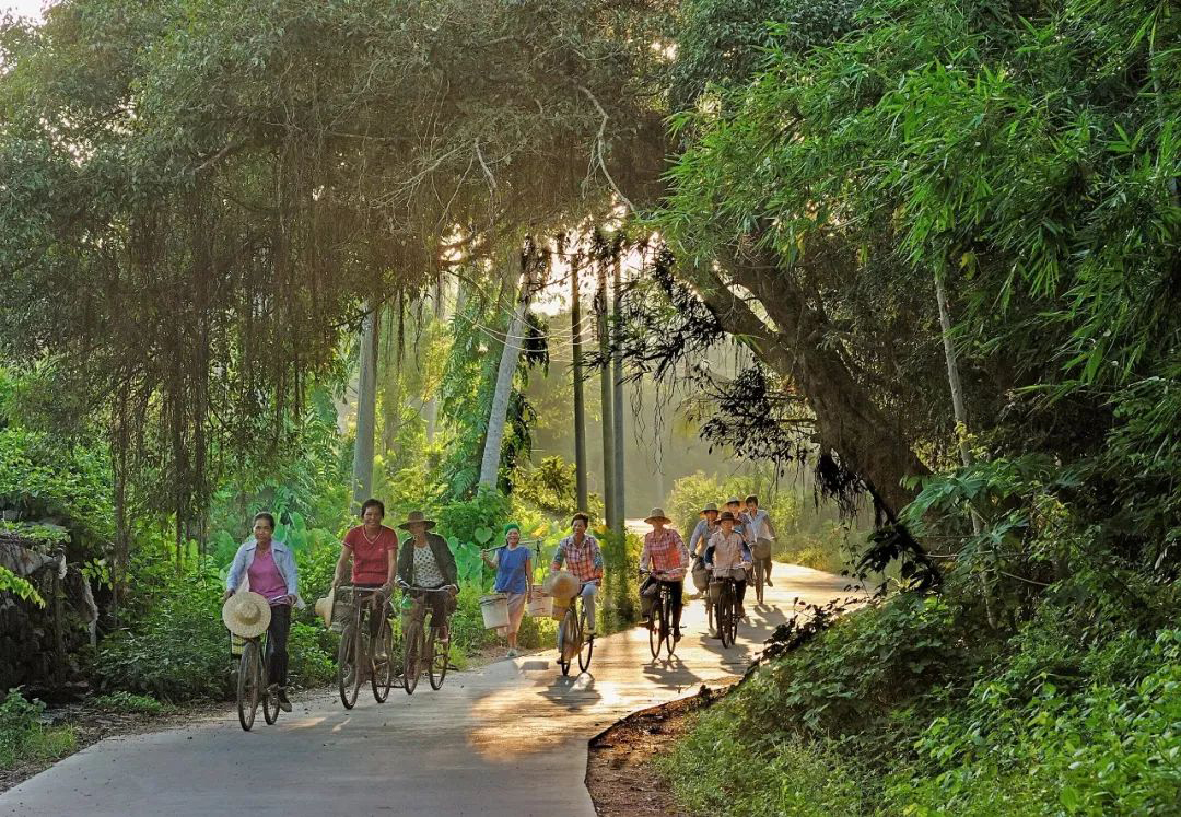 为提高全社会对农村公路发展的认知度和参与度,更好推进海南省"四好