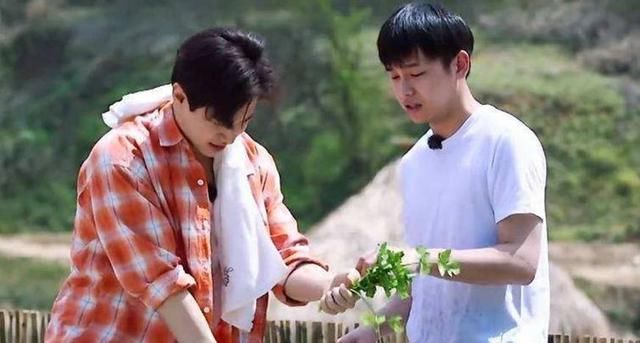 刘宪华粉丝第三次手撕黄磊,这一次的理由,是不