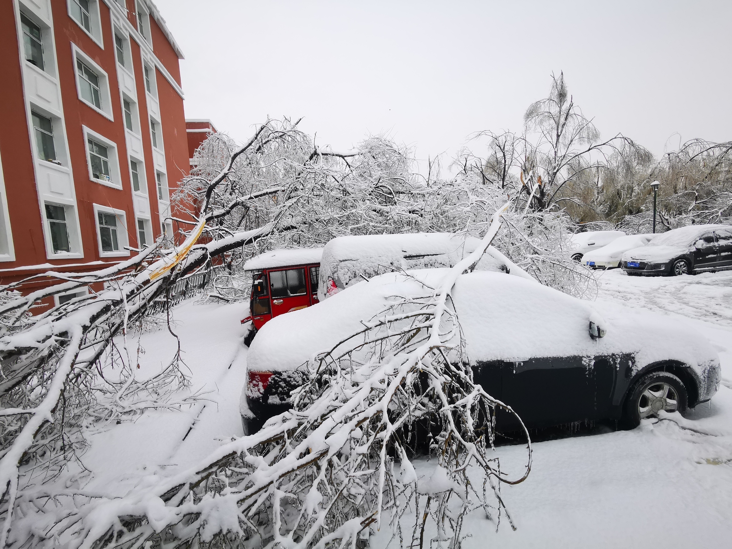 降雪破纪录 断崖式降温 气象预警频发 这波寒潮到底有多厉害
