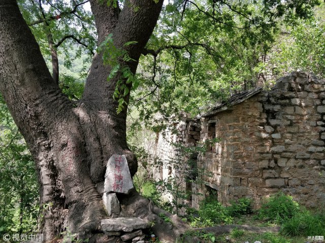 无人村被传为鬼村 