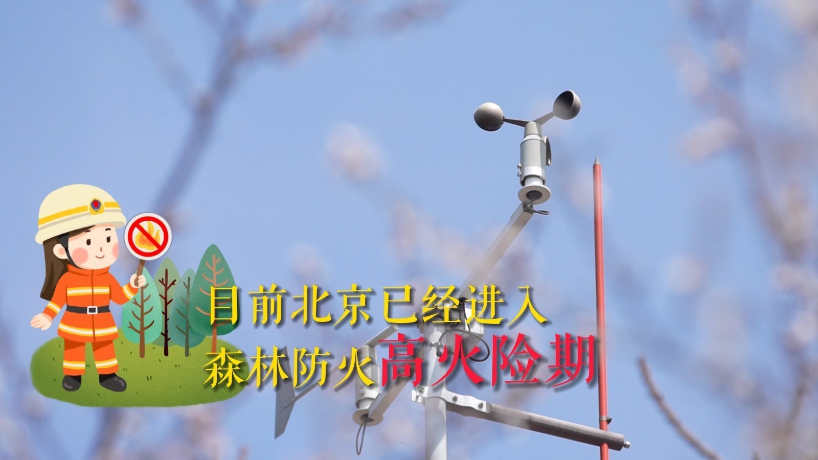 春天到，桃花笑，山林里赏花观景的同时，森林防火不能忘……