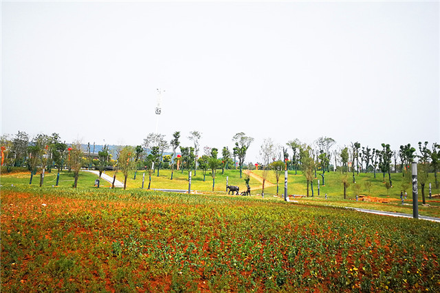 湖南衡东县武家山公园暨民俗文化大观园盛装开园