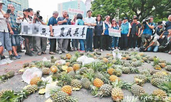台湾凤梨价格崩盘,大陆高价收购,台官员:火龙果