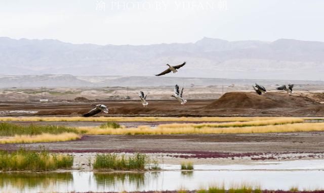 柴达木盆地的戈壁滩中遇见一个江南水乡阿拉尔