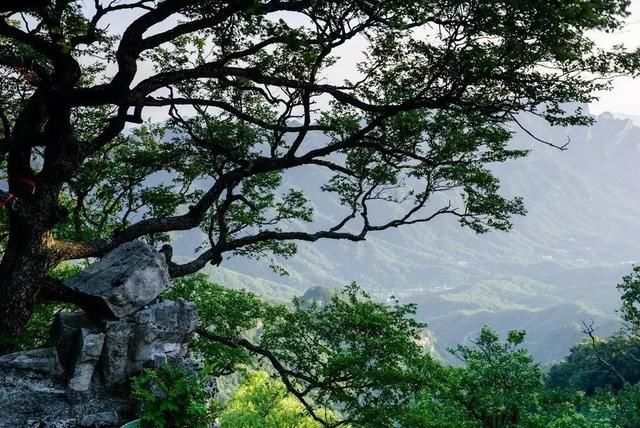 河南性价比最高的避暑胜地,气温实测25℃,门票