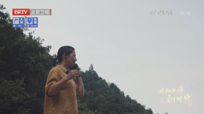 《我和我的新时代》第5集我的大湾村