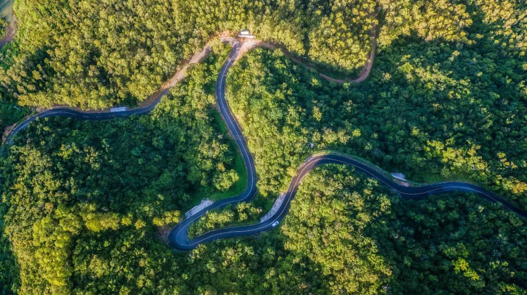 海南最美乡村公路图片