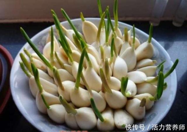 怎么吃大蒜对心脏最有益?发芽的能吃吗?这2种