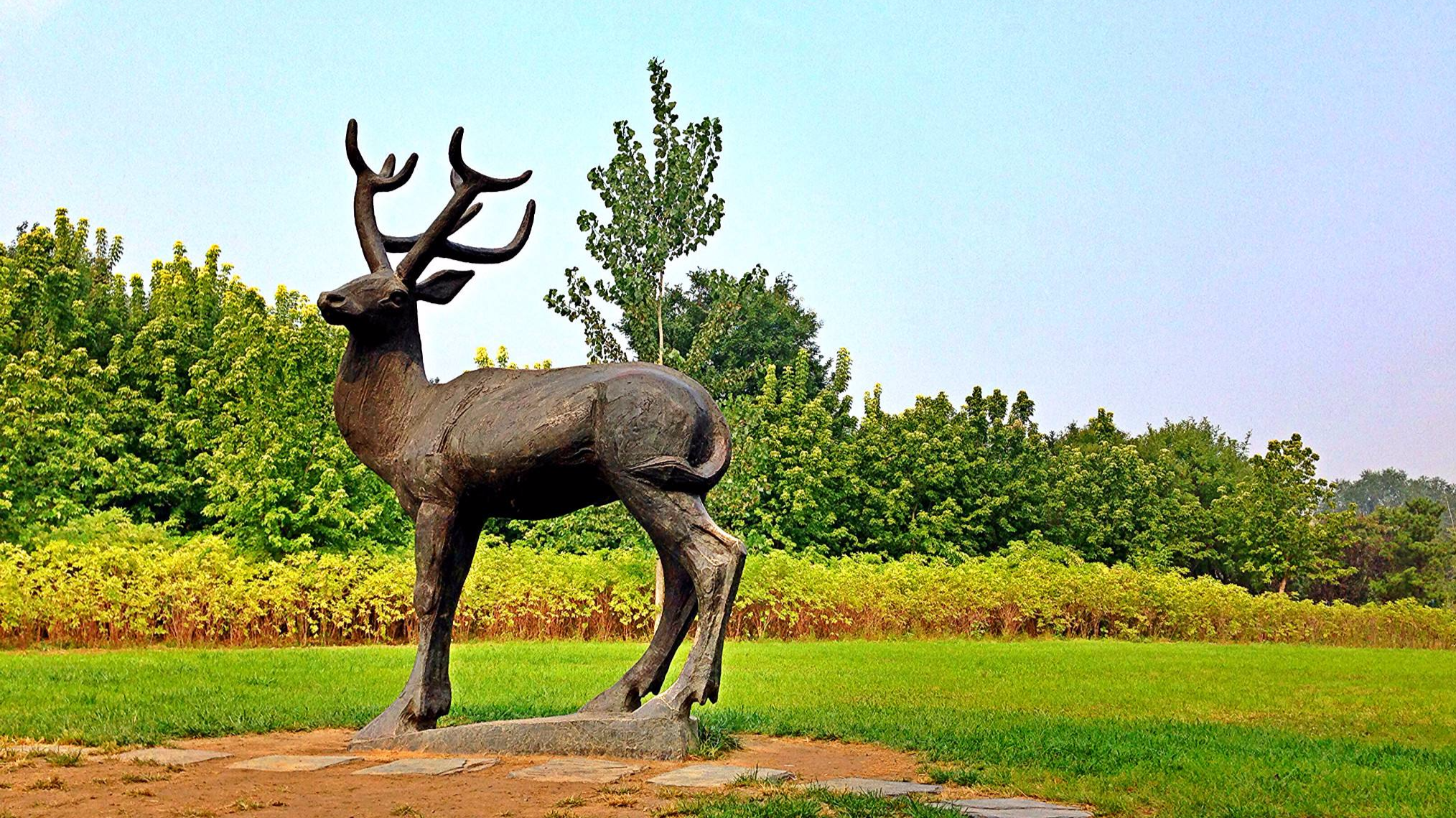 去南海子麋鹿苑 看神奇的“四不像” 去南海子麋鹿苑 看神奇的“四不像”