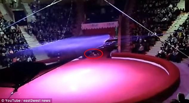 俄罗斯马戏团事故 空中飞人从四层楼高坠落昏