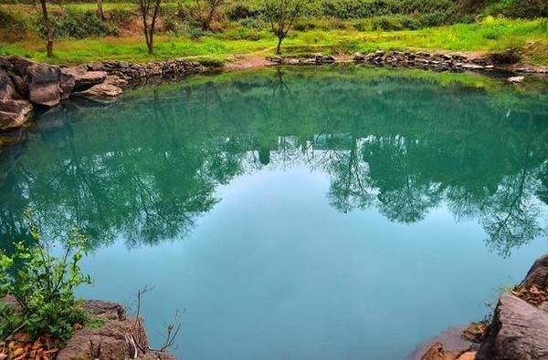 水塘里大鱼小鱼纷纷跳上岸,村民忙捉鱼,道士却说水里有妖怪-北京时间
