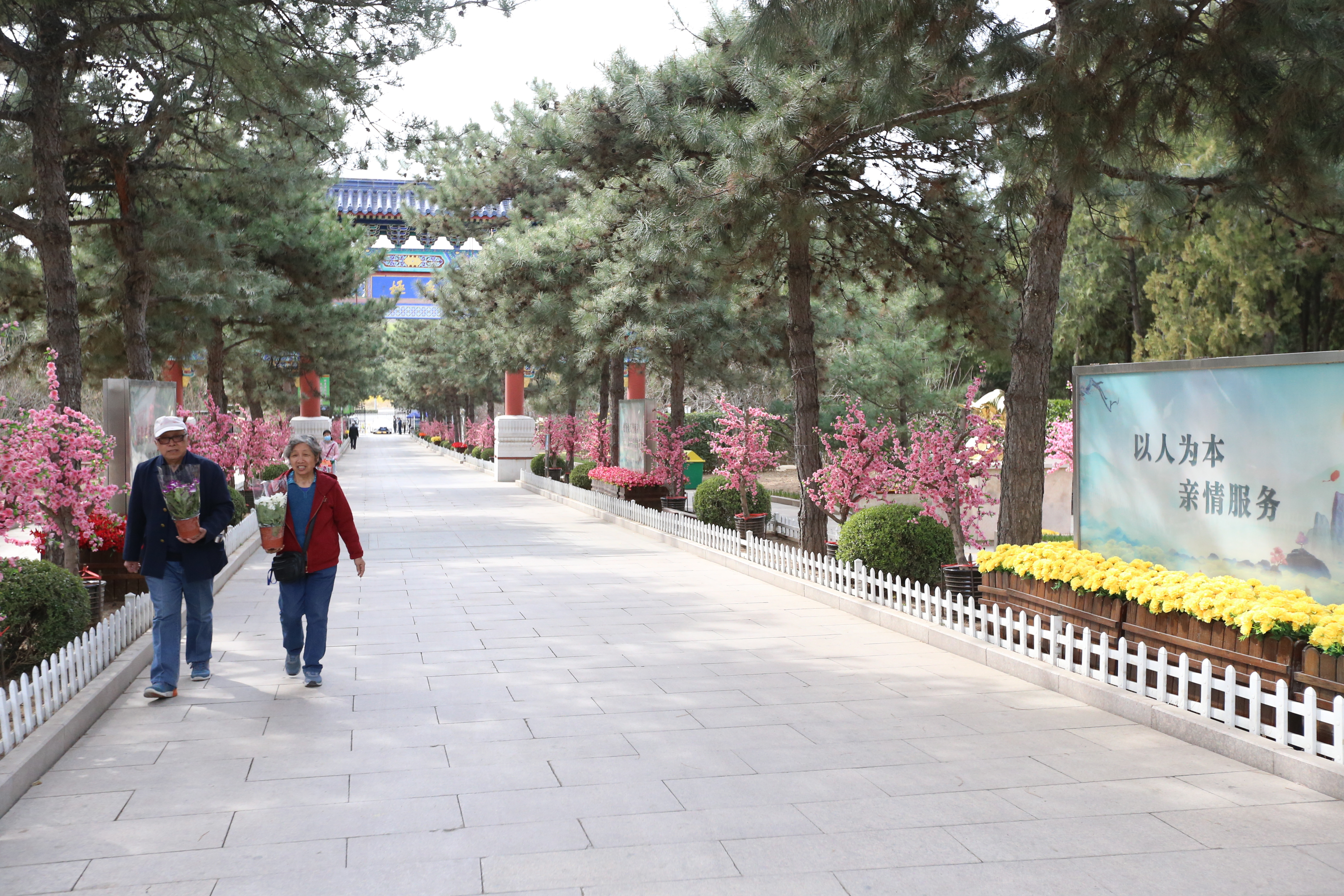 八宝山人民公墓举办公众开放日 清明期间推出