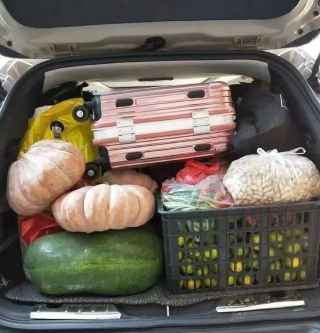 爸爸妈妈都在你的行李箱、后备箱里塞了什么？
