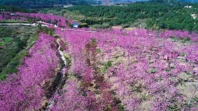 云南新晋旅游胜地要火!天然太极图,环水荷花岛