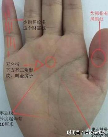 手掌有“金三角”的人，百年一遇的暴发户，迟早必成大器！