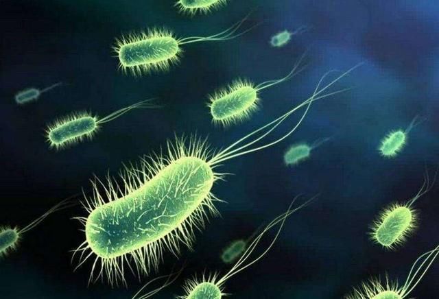 宝宝发烧了,怎么分辨是细菌感染还是病毒感染