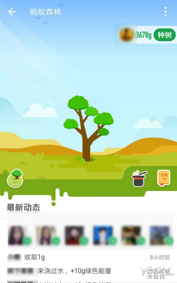 蚂蚁森林如何快速获取绿色能量？这有些捷径