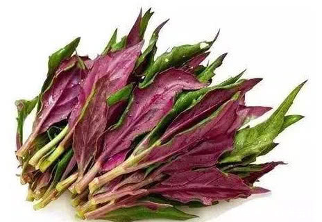 这六中蔬菜容易致癌,赶紧回家告诉家人别