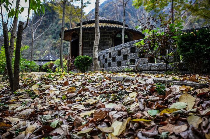 自驾神农架大九湖避暑环线之旅,这里以野人的