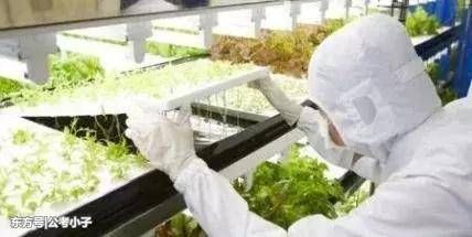 现在高考报什么专业前景好 各学科门类专业就