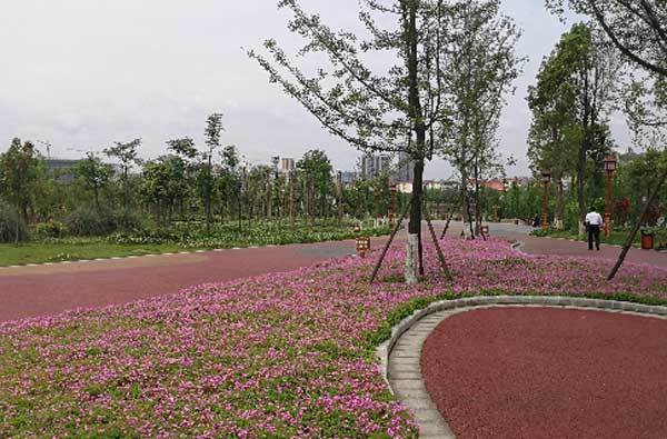 率先开展"绿海明珠" 眉山市民出门处处是公园