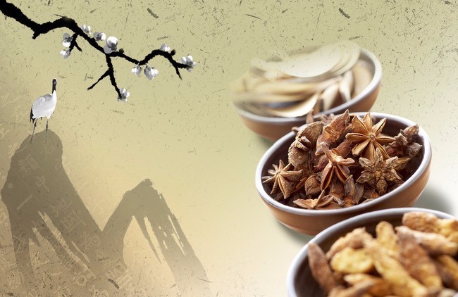 无学历可以考中医确有专长,拿到中医确有专长