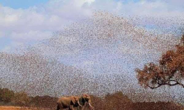 这么早就教你的宝宝翻身爬和走路,不一定就会