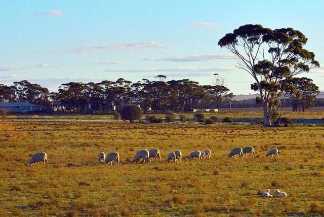 此国领土面积排世界第六位,人口都没上海多,经