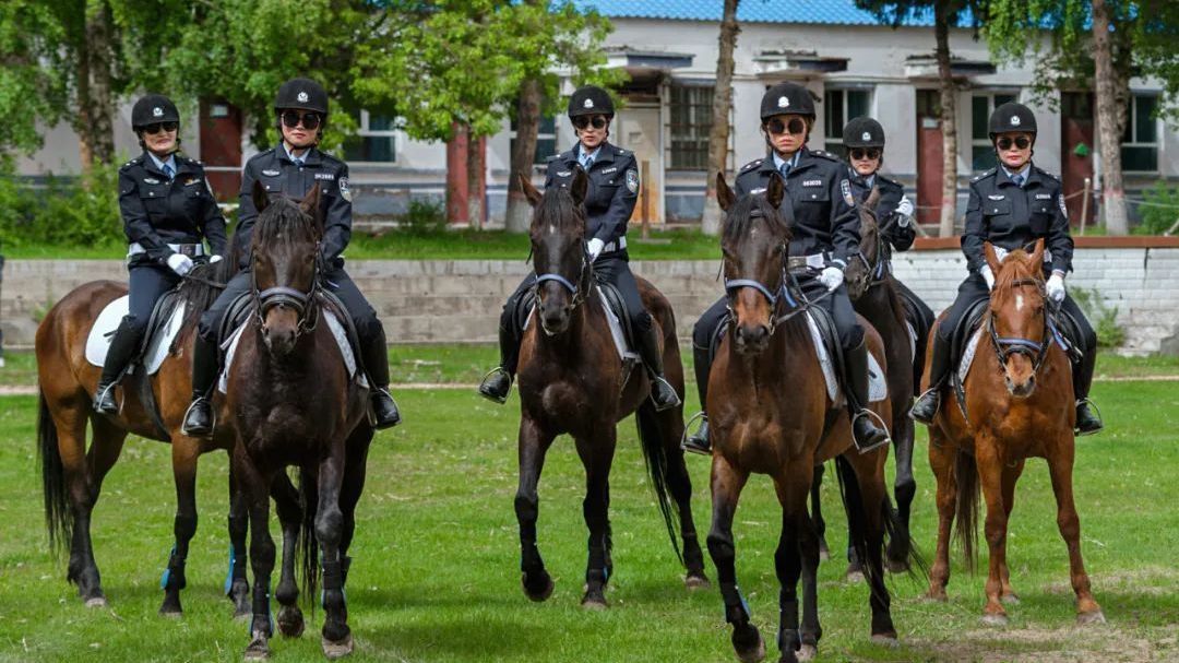 超飒！新疆昭苏女子骑警队帅到心坎里