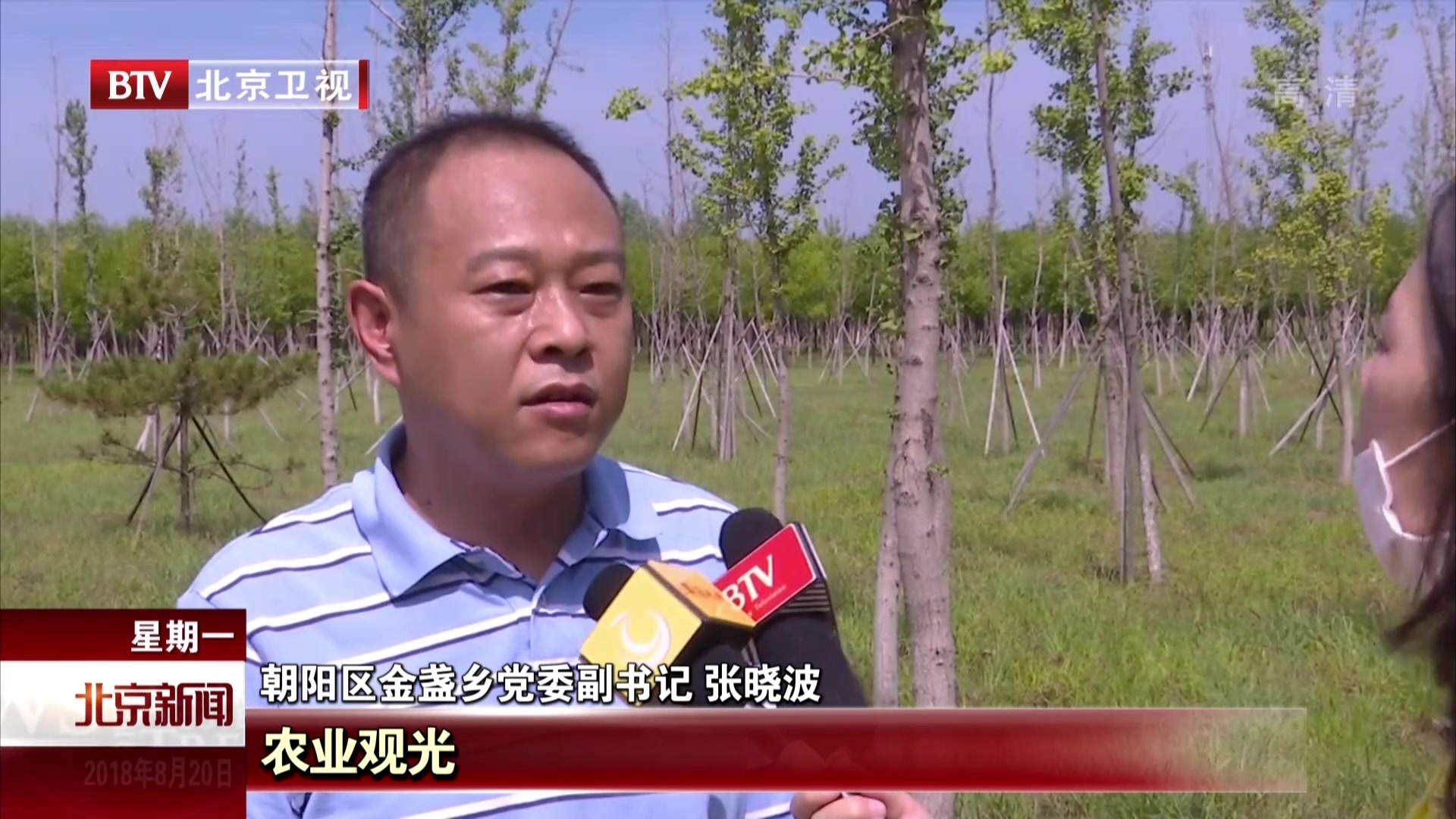 北京东部大型木材粮油批发市场完成疏解