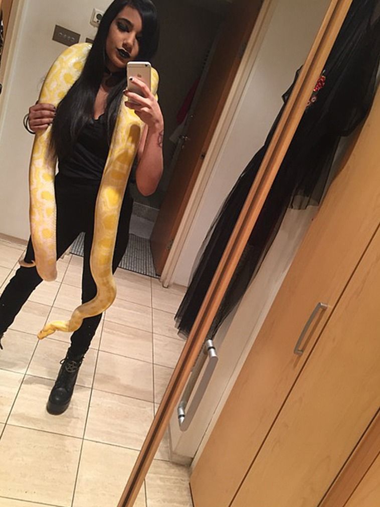 英国一女子收集16条蛇,公寓变蛇窝,与5米巨蟒