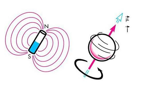 3.中日美三国科学家联合破解核自旋极化特性