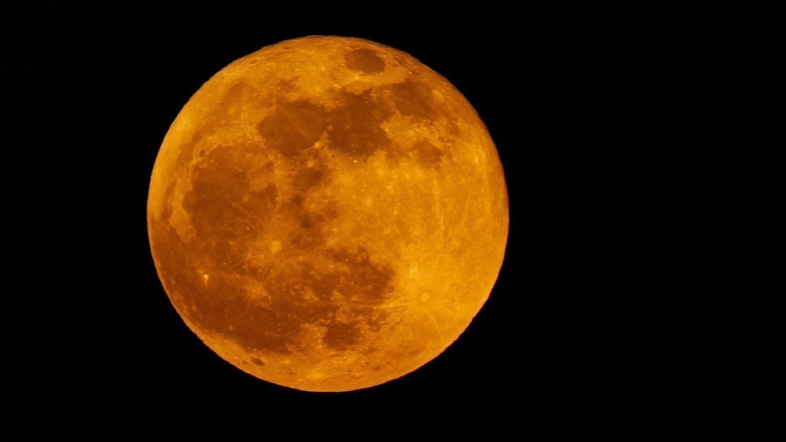 抬头!昨晚月亮的颜色真好看 好像大大的“咸蛋黄” 抬头!昨晚月亮的颜色真好看 好像大大的“咸蛋黄”