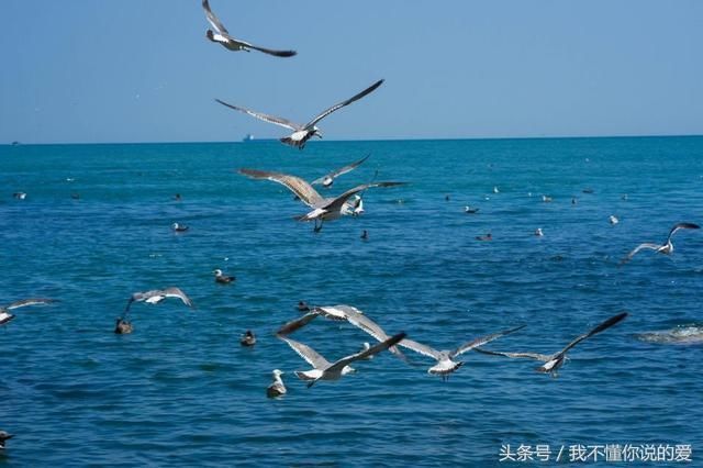 离韩国最近的这个中国城市, 竟是比三亚更适合