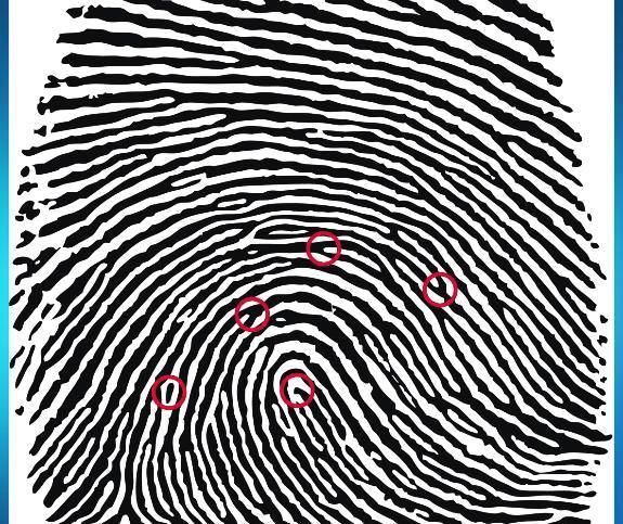 指纹识别是什么原理?我们每天用的手机指纹识