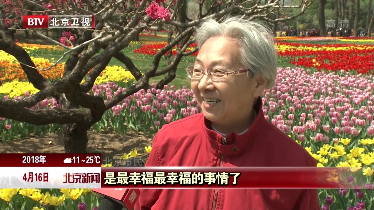 40万株郁金香盛放北京植物园 40万株郁金香盛放北京植物园