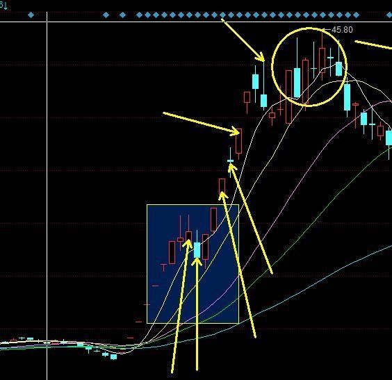 A股2017四大妖王横空出世,股民:怎么没有茅台