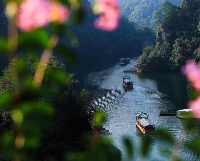 张家界旅游景点介绍,必去景点有哪些!求推荐口