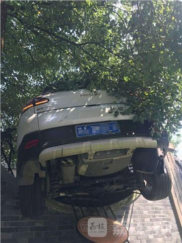 女司机倒车 女司机倒车