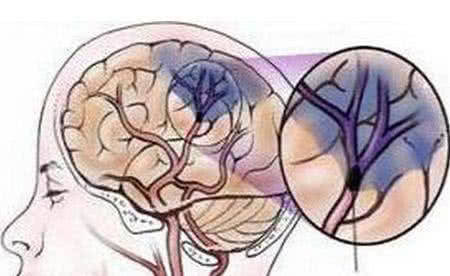 t01febf24235258cc37.jpg?size=450x276