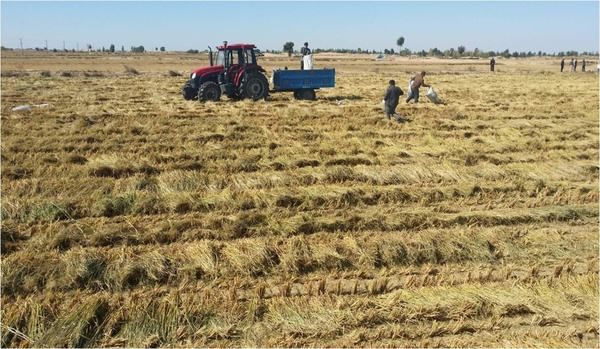 农村新增人口没有承包地怎么办?这项政策帮你